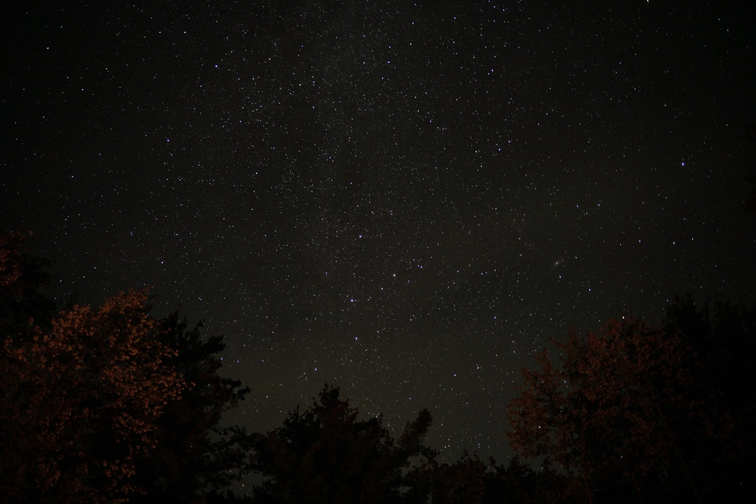 ボブ・ディランStars from the Darkest Night 2CD IDSP Type: Parks | DarkSky International